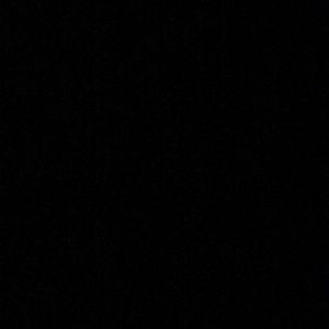 Meet your Posher, Alona